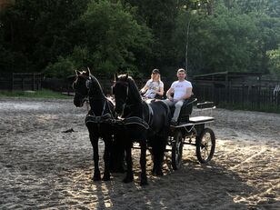 Fríští koně jsou k dispozici na Ukrajině